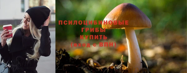 молекула духа Навашино