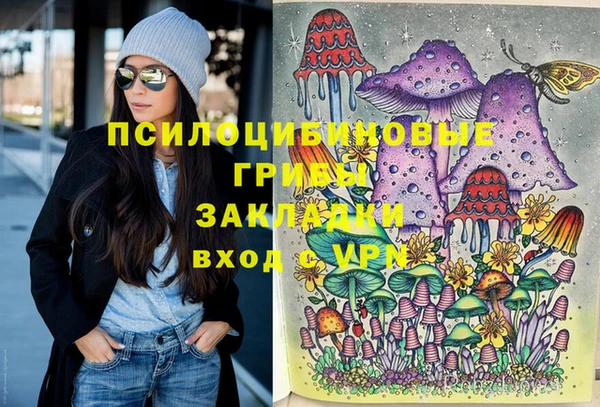 тгк Михайлов