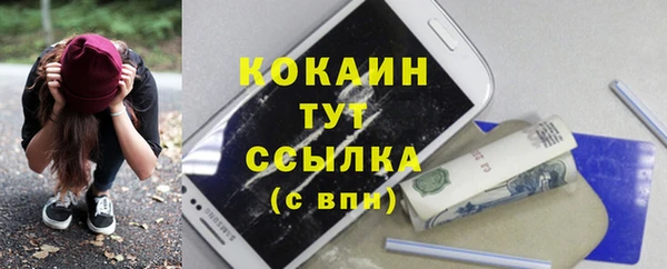 молекула духа Навашино