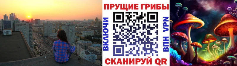 закладки  Первомайск  Псилоцибиновые грибы MAGIC MUSHROOMS 